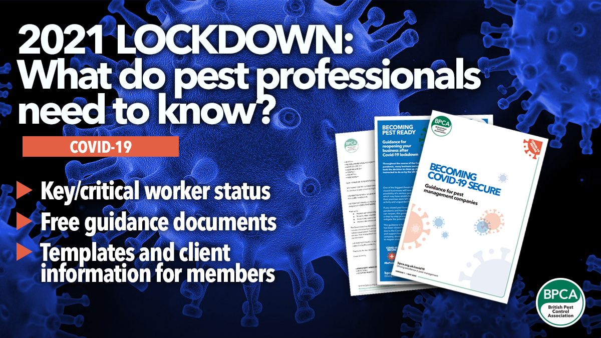 Lockdown 2021 pest advice pest control BPCA